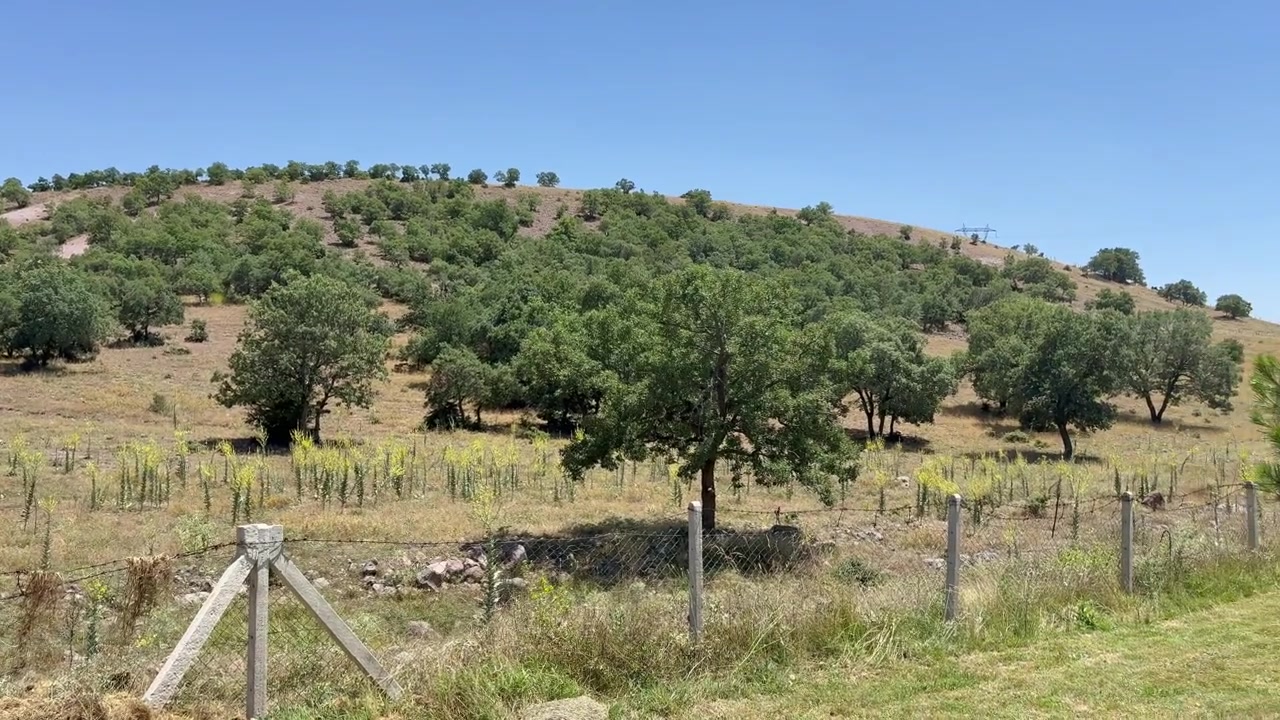 Un'area picnic in mezzo alla lussureggiante e montuosa vegetazione della magnifica Anatolia.
