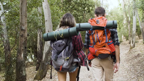 couple of travelers with backpacks walking in forest for camping