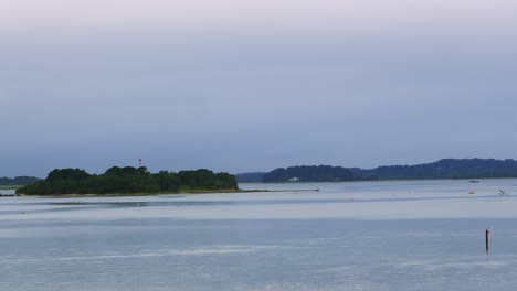 early morning view from poole harbour with small island with dense forests and surrounding calm english channel sea and moored sailing boats 4k