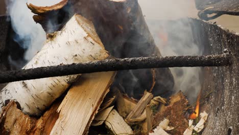 Soft-orange-flames-from-burning-birch-logs-in-outdoor-fireplace