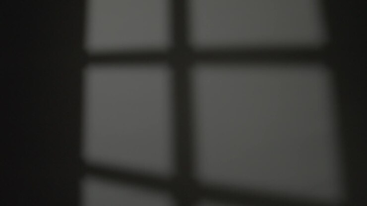 A woman walks across a room, passing in front of the shadow of the window on the wall