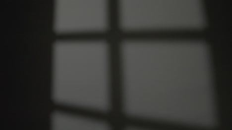 a woman walks across a room, passing in front of the shadow of the window on the wall
