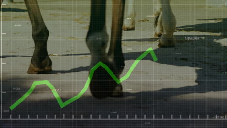 horse hooves moving on sandy ground, displaying green line graph over transparent grid in 3d render