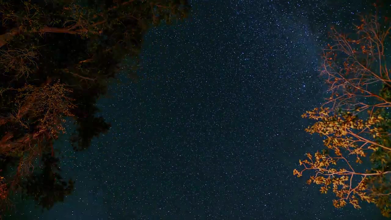Impressionante lapso de tempo de um céu noturno estrelado da noite para o dia, com uma fogueira bruxuleante refletida nas árvores acima.