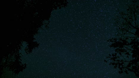 Stunning-Time-Lapse-of-a-starry-night-sky-from-night-to-day-with-a-flickering-campfire-seen-reflected-onto-the-trees-above