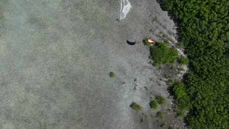 Kiteboarder-Navigating-Mangroves,-Epic-Carving,-Long-Shadows,-Tropical-Island,-Top-Down-Aerial