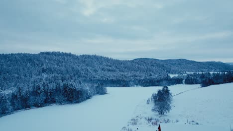 Snow-Covered-Forest-Trees-On-Winter-Landscape