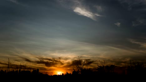4k time-lapse que muestra una hermosa puesta de sol naranja sobre el campo y los árboles. hermosos colores dramáticos de las nubes. transición del lapso de tiempo de día a noche