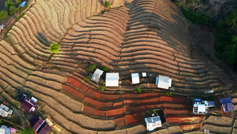 Ban-Pa-Pong-Piang-rice-plantation-village-with-dry-stepped-terraces