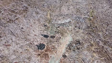 Aerial-View-of-Logged-Forest-of-Port-Alberni,-Vancouver-Island,-Canada