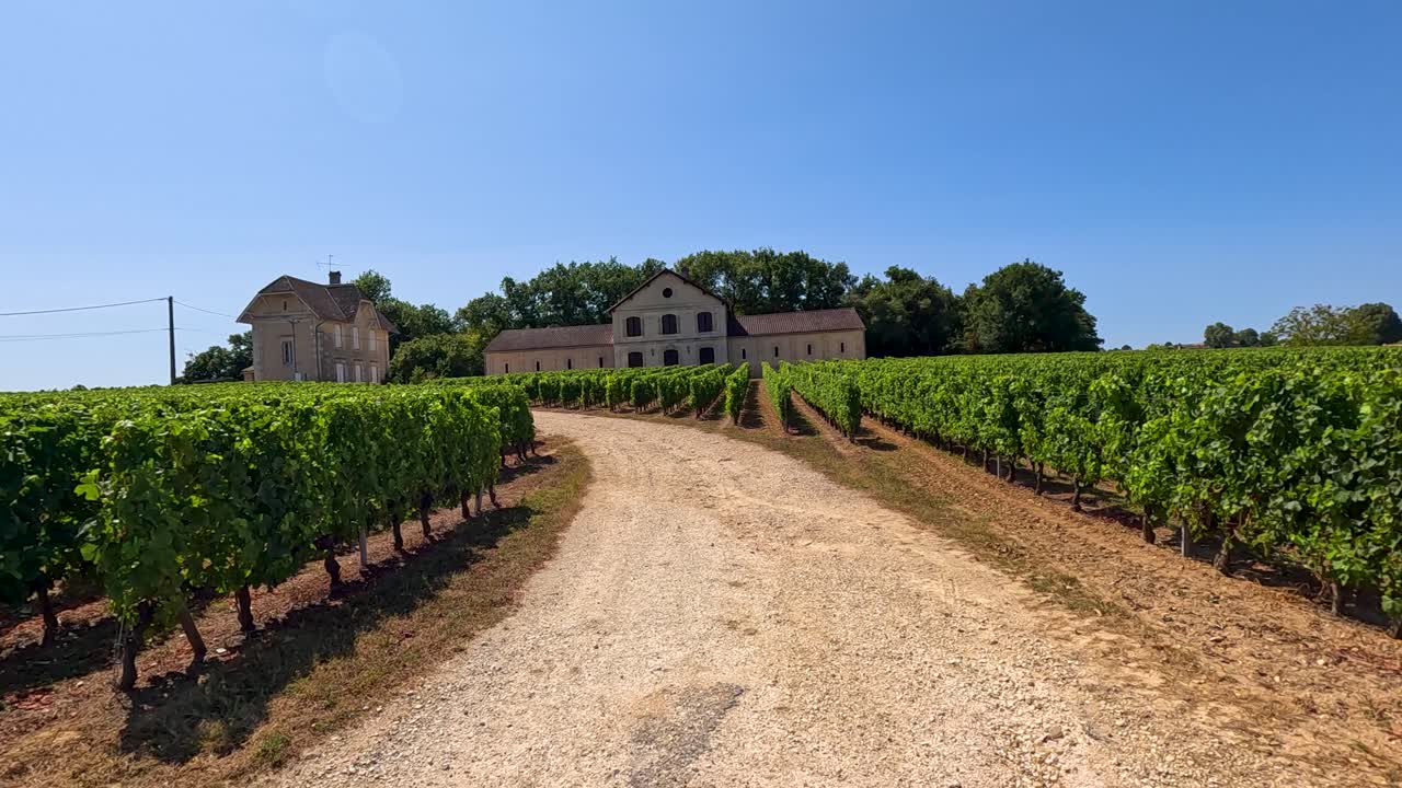 Scenic vineyard with historic buildings in Bordeaux