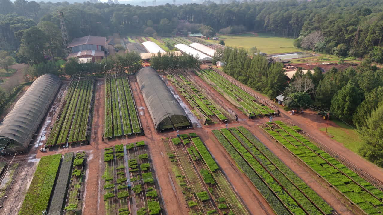 Aerial establishing fly above greenhouse location, vegetation cultivation location