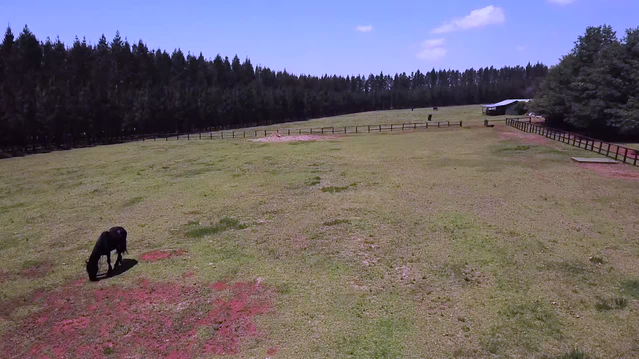 남아프리카 공화국의 말 농장 상공 비행