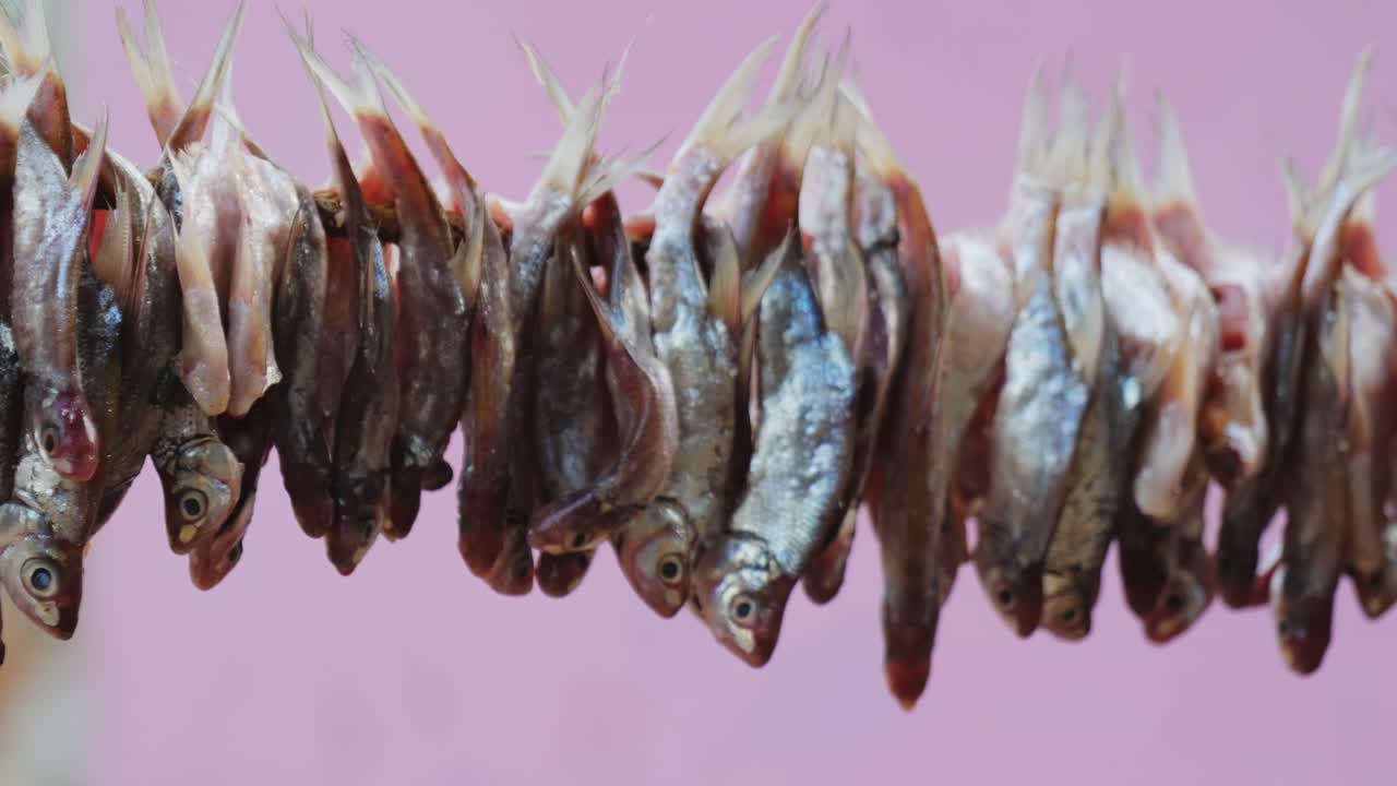 raw fishes processed and hanged outside on rope for sun drying, close shot, 4k