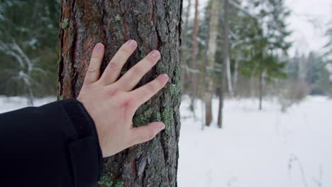 mano tocando un tronco de árbol en un bosque nevado