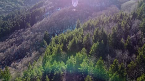 cinematic low flying 4k drone clip over the coniferous forest of vitosha national park, close to sofia, bulgaria