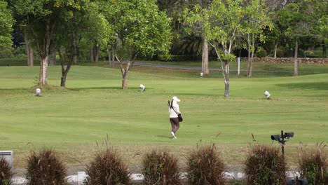 un golfista haciendo un swing en un parque sereno.