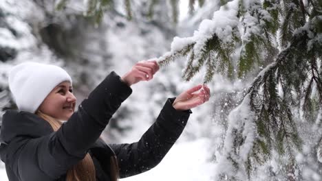 beautiful girl shakes the snow from a tree branch she is happy and smiling playing with snow beautiful girl shakes the snow from a tree branch she is happy and smiling playing with snow new years mood in women
