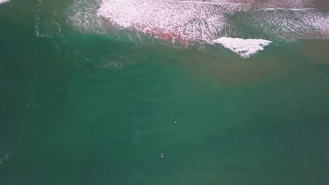 surfers making their way out-back to catch the perfect wave