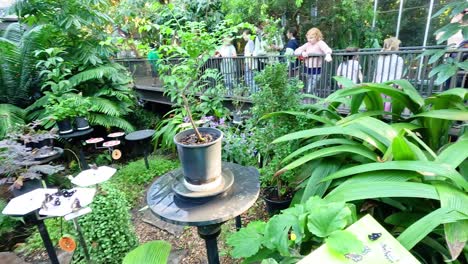 lush garden with butterflies and visitors