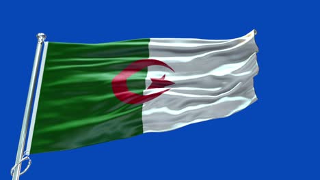 4k highly detailed flag of algeria - algeria flag high detail - national flag algeria wave pattern loopable elements