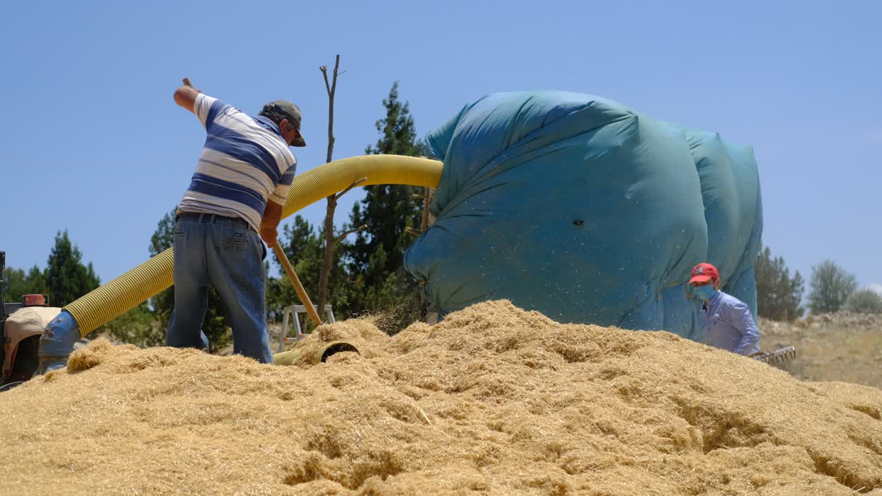 하이 스프레이어 성인 남자