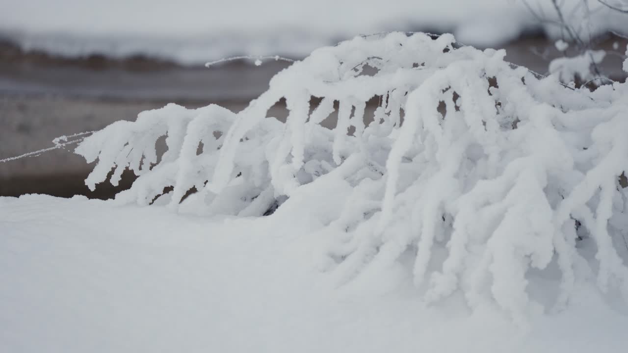 A shallow stream flows through a quiet winter forest, surrounded by snow-covered branches and soft white ground.
