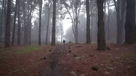 Vista-Trasera-De-Una-Joven-Caminando-En-Un-Bosque-De-Pinos-Brumoso-En-La-Isla-De-La-Palma,-Islas-Canarias