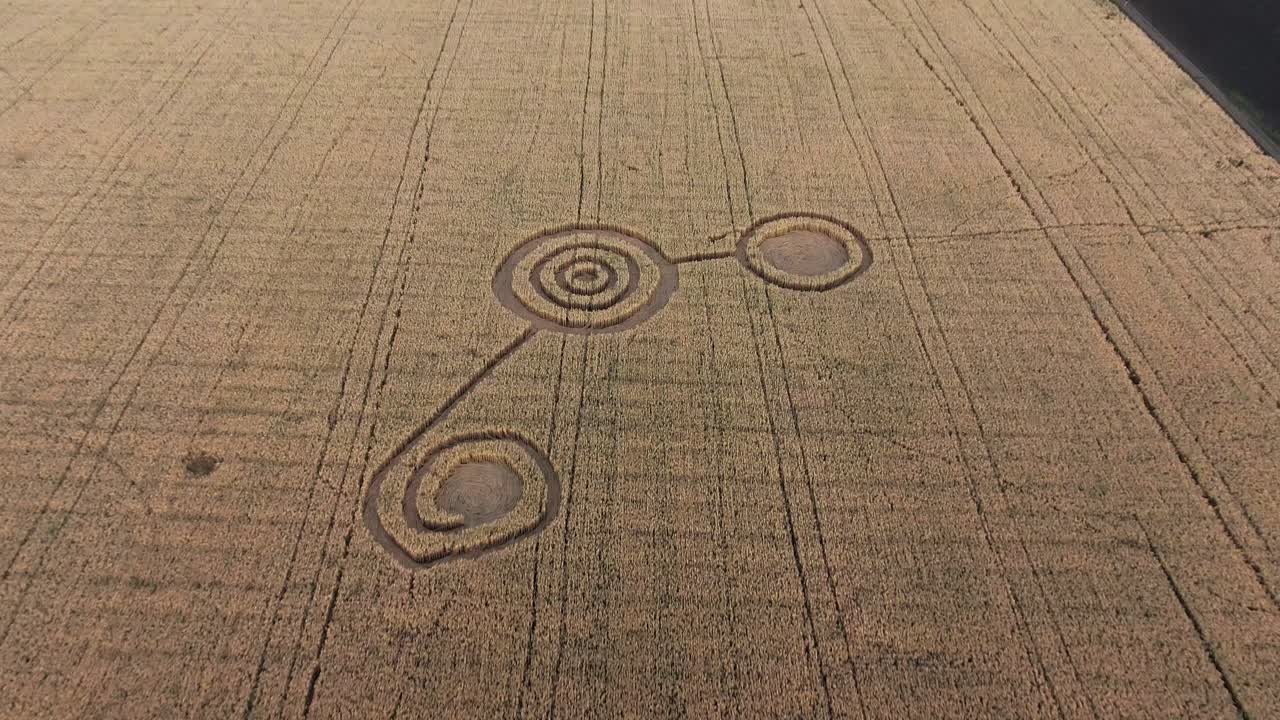 сложный дизайн круга в зерновом поле