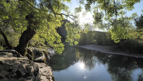 hermoso árbol en las rocas a lo largo de un río tranquilo puesta de sol francia herault