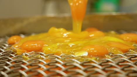 egg yolk dripping through the filter grate