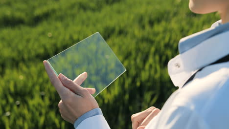 Rückansicht-Der-Hände-Der-Forscherin-In-Handschuhen,-Die-Im-Grünen-Feld-Auf-Glas-Klopfen