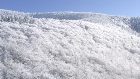 Rising-Aerial-Shot-Of-Alpine-Mountain-In-Czech-Republic-During-Winter,-Trees-Snow-Covered