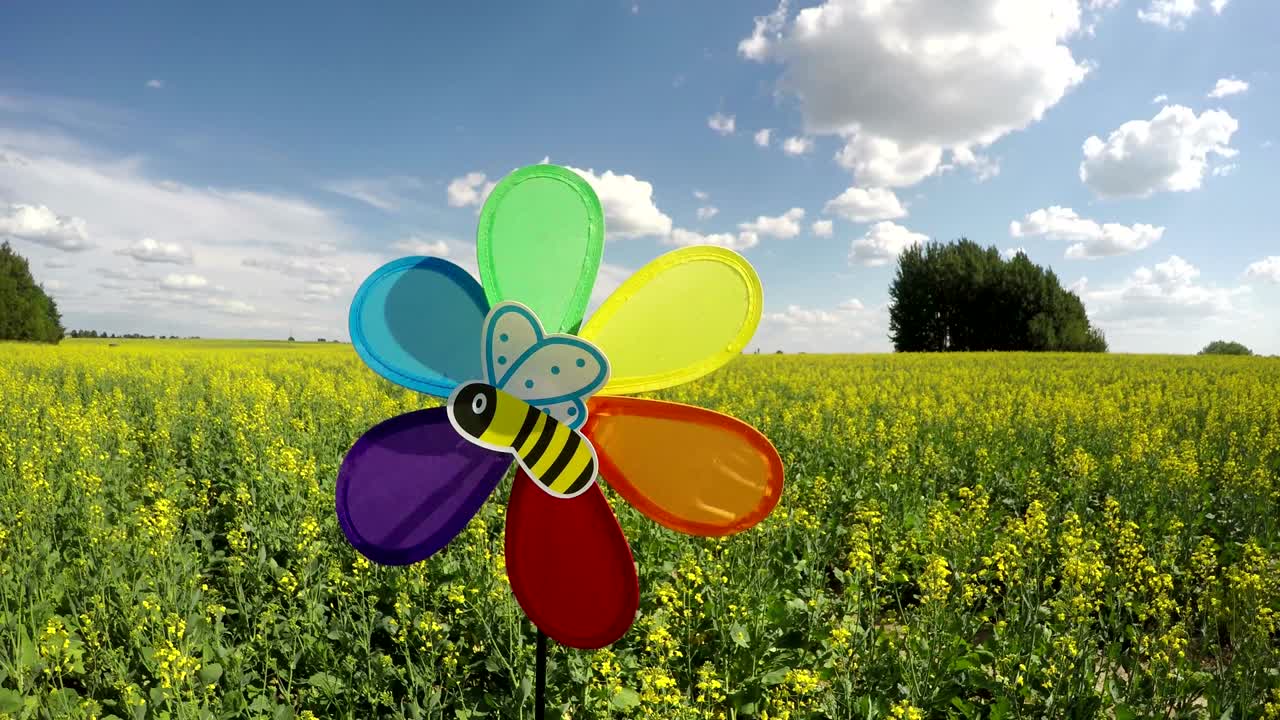 꽃이 피는 라프시드 에 있는 다채로운 풍차 장난감, 타임스