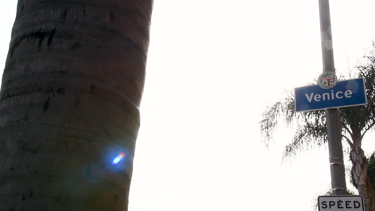 venecia sign_lens bengalas, palmeras y edificios