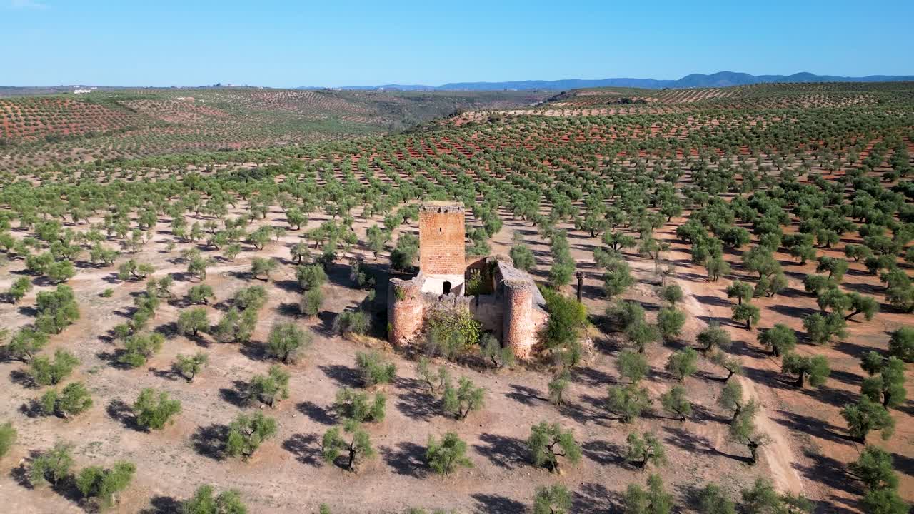 올리브 가든에 있는 아라고네사 중세 성의 멀리 있는 드론 풍경