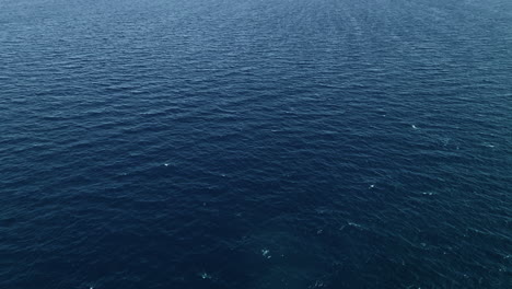 tranquil blue ocean surface