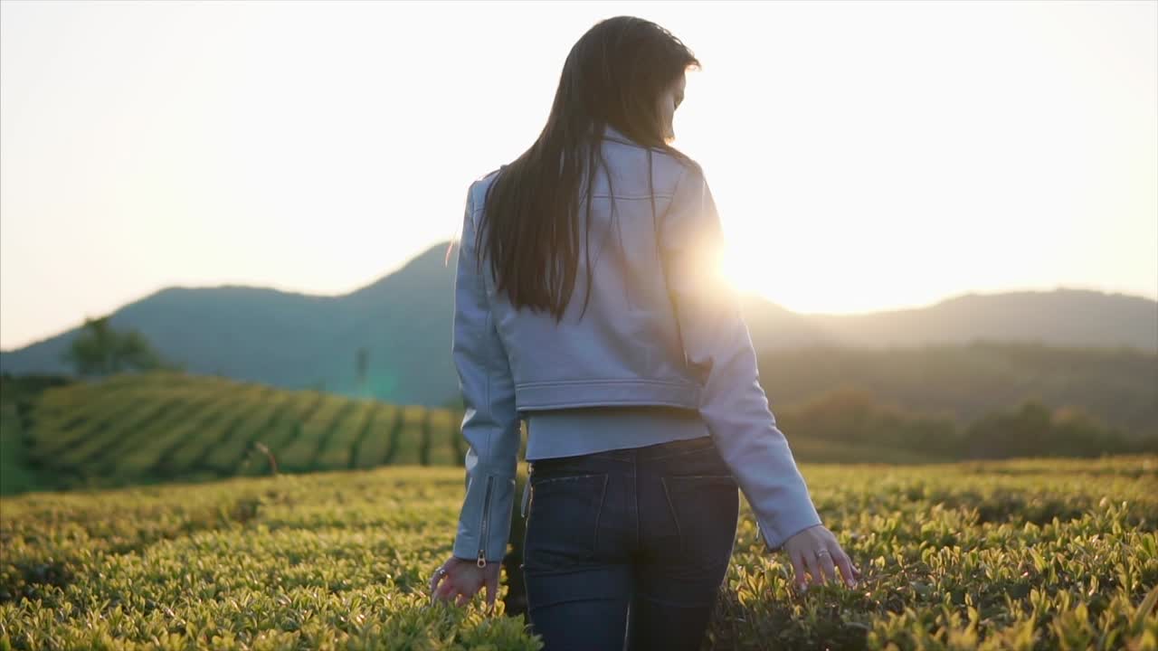 해가 지는 동안 차 농장에서 고 있는 여자