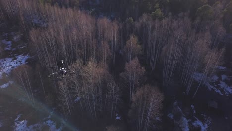 drone flying over a forest