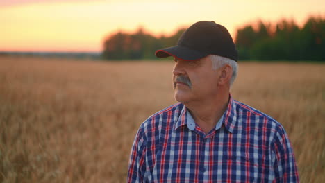 portrait of a happy senior adult farmer in a cap in a field of grain looking at the sunset. wheat field of cereals at sunset. slow motion