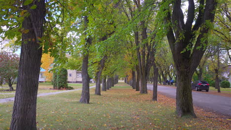 Caminando-A-Través-De-Los-árboles-De-Otoño.-30p-Conformado-A-24p