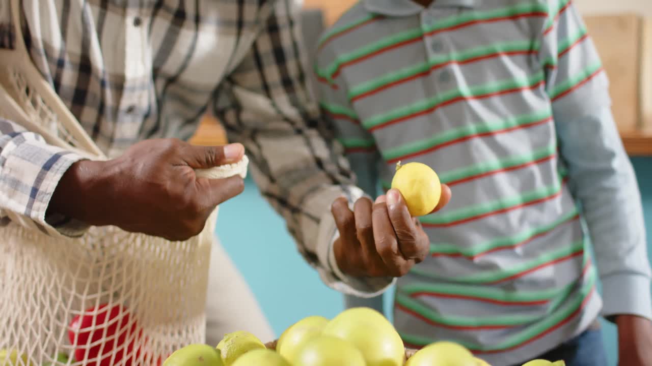 Happy senior african american grandfather and grandson shopping at health food shop, slow motion
