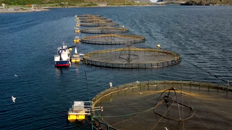 imágenes aéreas de granjas de pesca de salmón en noruega