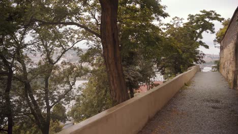 old stone walkway by the riverfront with shady trees - panning shot