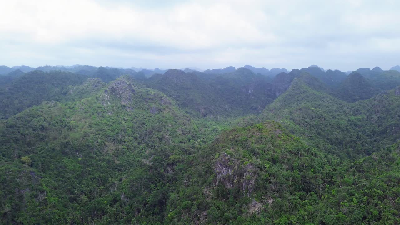 Pan left showing dramatic limestone peaks and dense forest on Cat Ba Island, under soft daylight