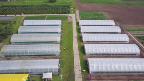 aerial view of a modern agricultural greenhouse complex