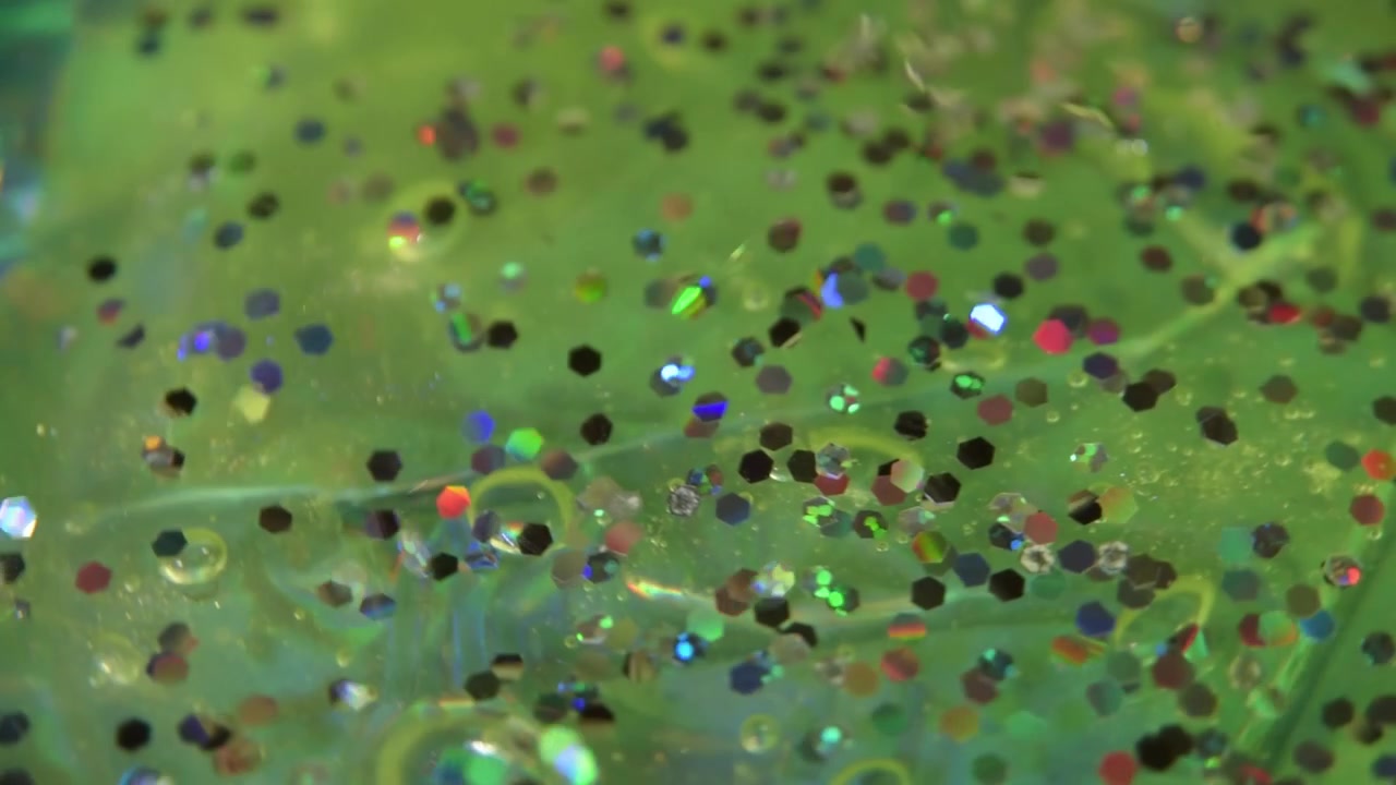 Glitter in gel traslucido