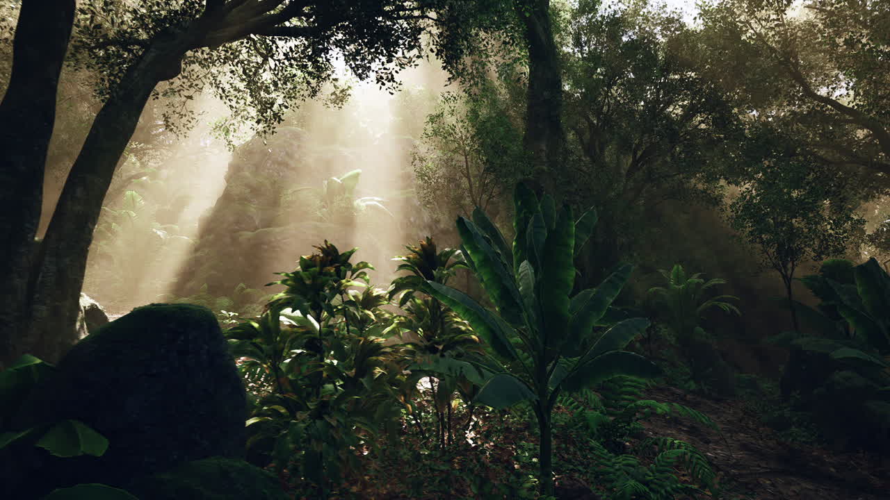 울창한 정글을 가로질러 빛나는 빛