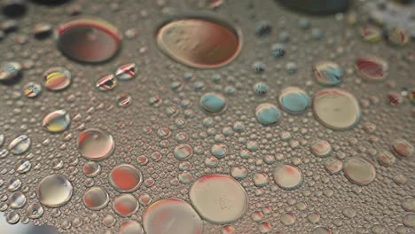 colorful liquid objects in bubbles