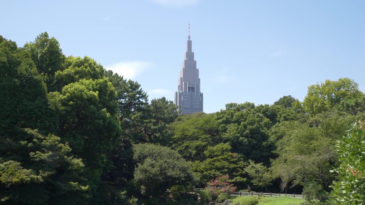 Edificio NTT Docomo Yoyogi - Grattacielo visto dal Giardino Nazionale Shinjuku Gyoen a Tokyo, Giappone. - Inquadratura ampia.